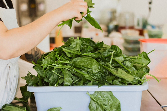 Zero Food Waste: Prepared Meals Done Right